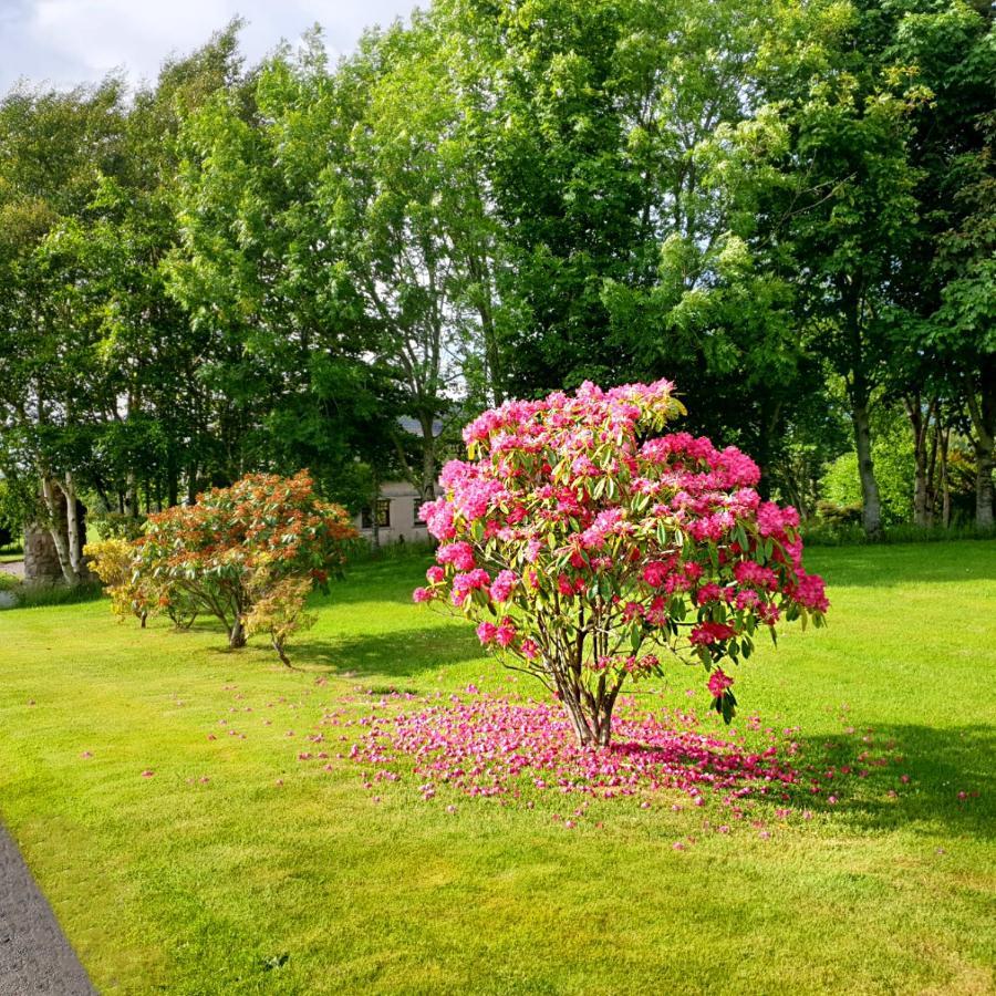 Hotel Bogenraith House Banchory Esterno foto