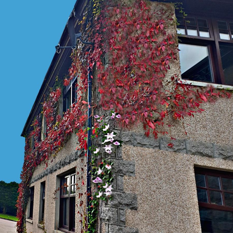 Hotel Bogenraith House Banchory Esterno foto